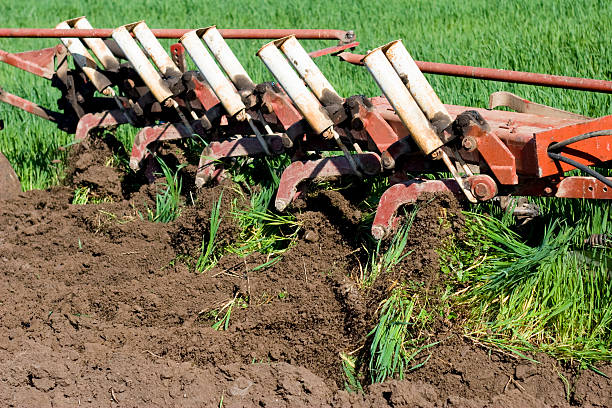 سفارش گاو آهن ارتشی + شرایط استثنایی